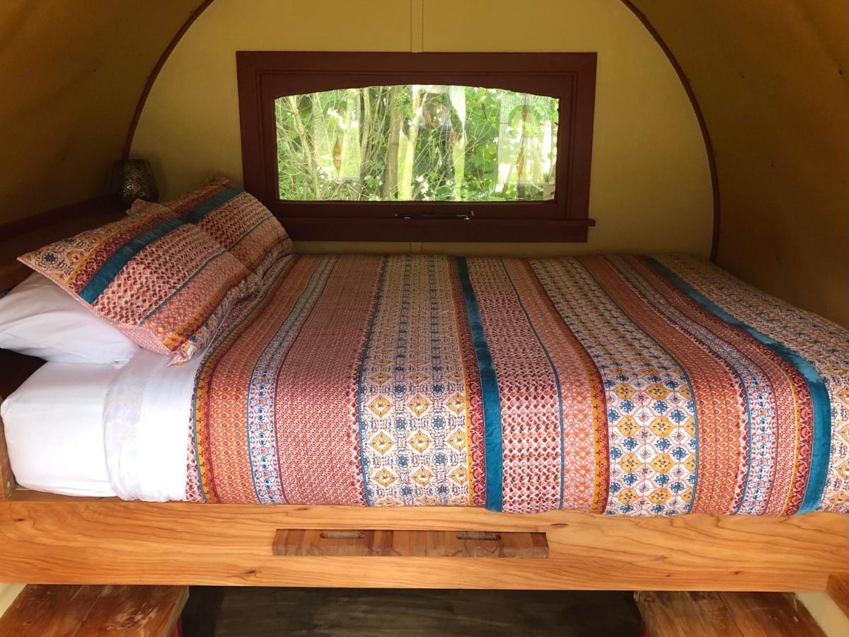 Greytown Campground Dış mekan fotoğraf