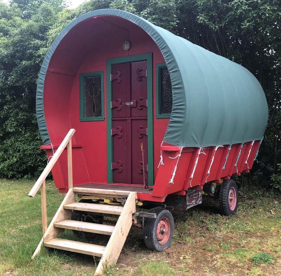 Greytown Campground Dış mekan fotoğraf